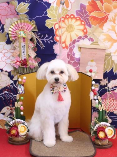 20240119風太郎くん